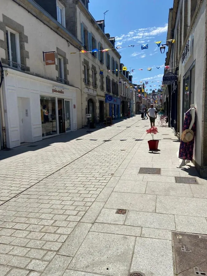 Lejlighed Votre Mini Maison En Plein Coeur Du Centre Ville -Terrasse - Et Parking Prive Sur Place Clos - Draps Et Menage Inclus Concarneau